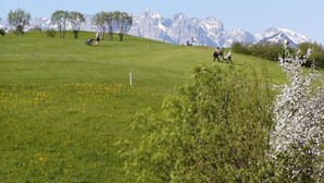 Un campo cubierto de hierba con algunas personas caminando, árboles y montañas nevadas al fondo.