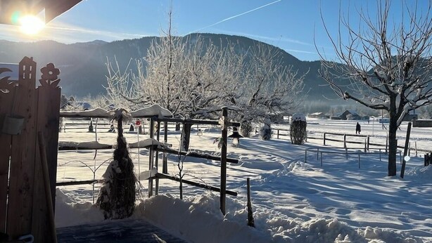 Un paysage enneigé avec une clôture en bois, des arbres sans feuilles et des montagnes en arrière-plan.