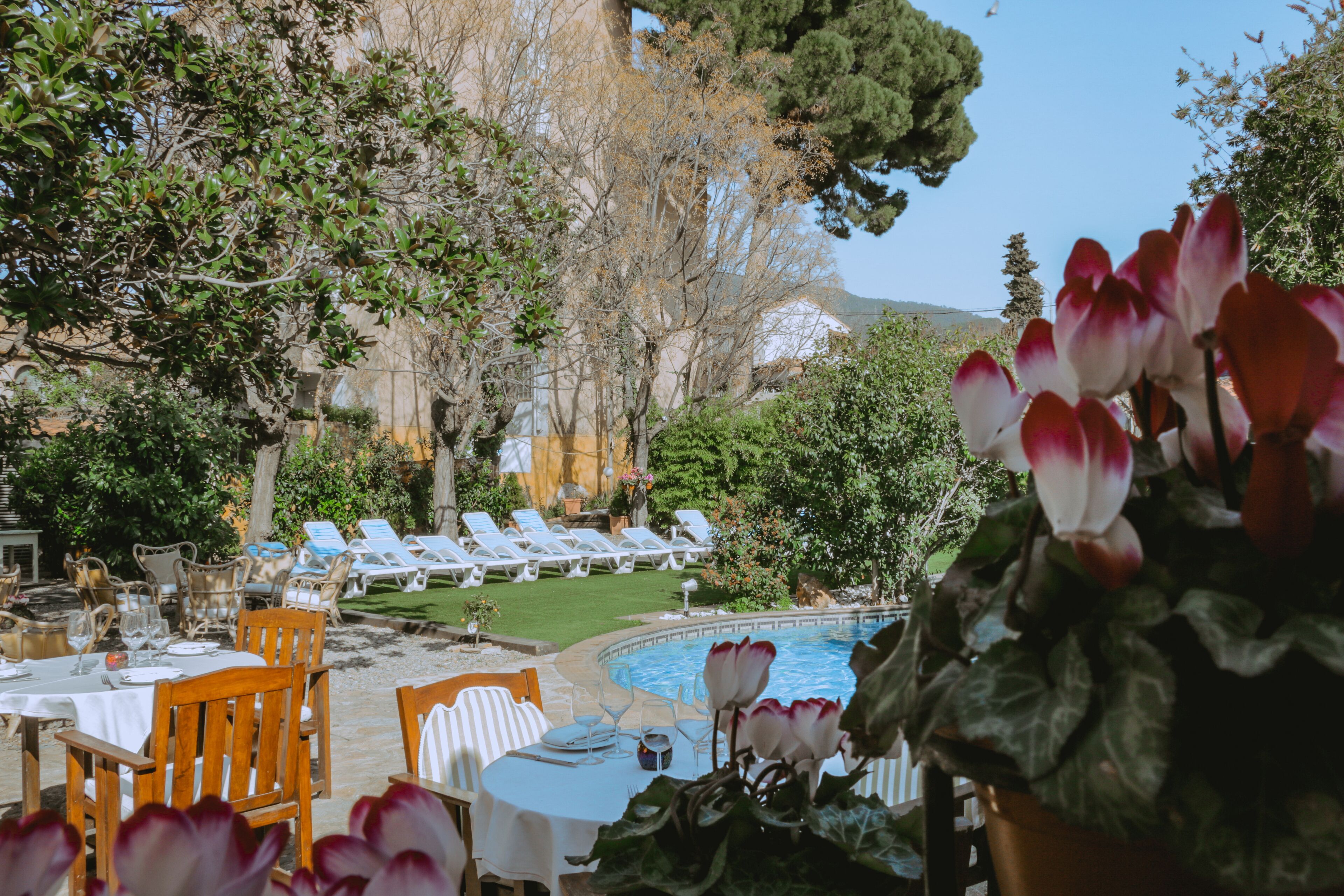 A poolside area with lounge chairs, tables, and a dining setup.