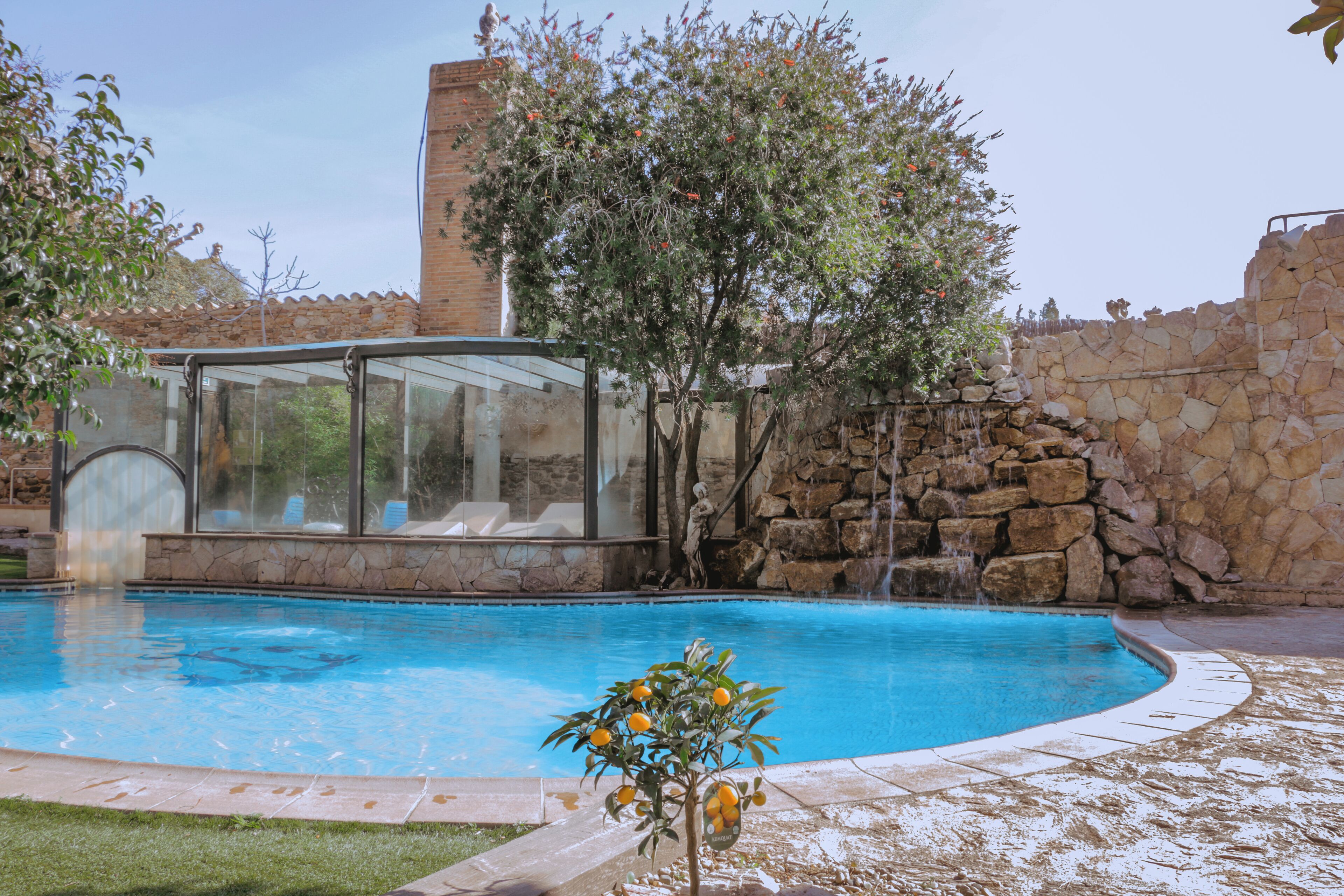 A swimming pool with a glass enclosure, a stone wall, and a small tree with yellow flowers.