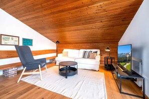 Televisión, chimenea, reproductor de DVD