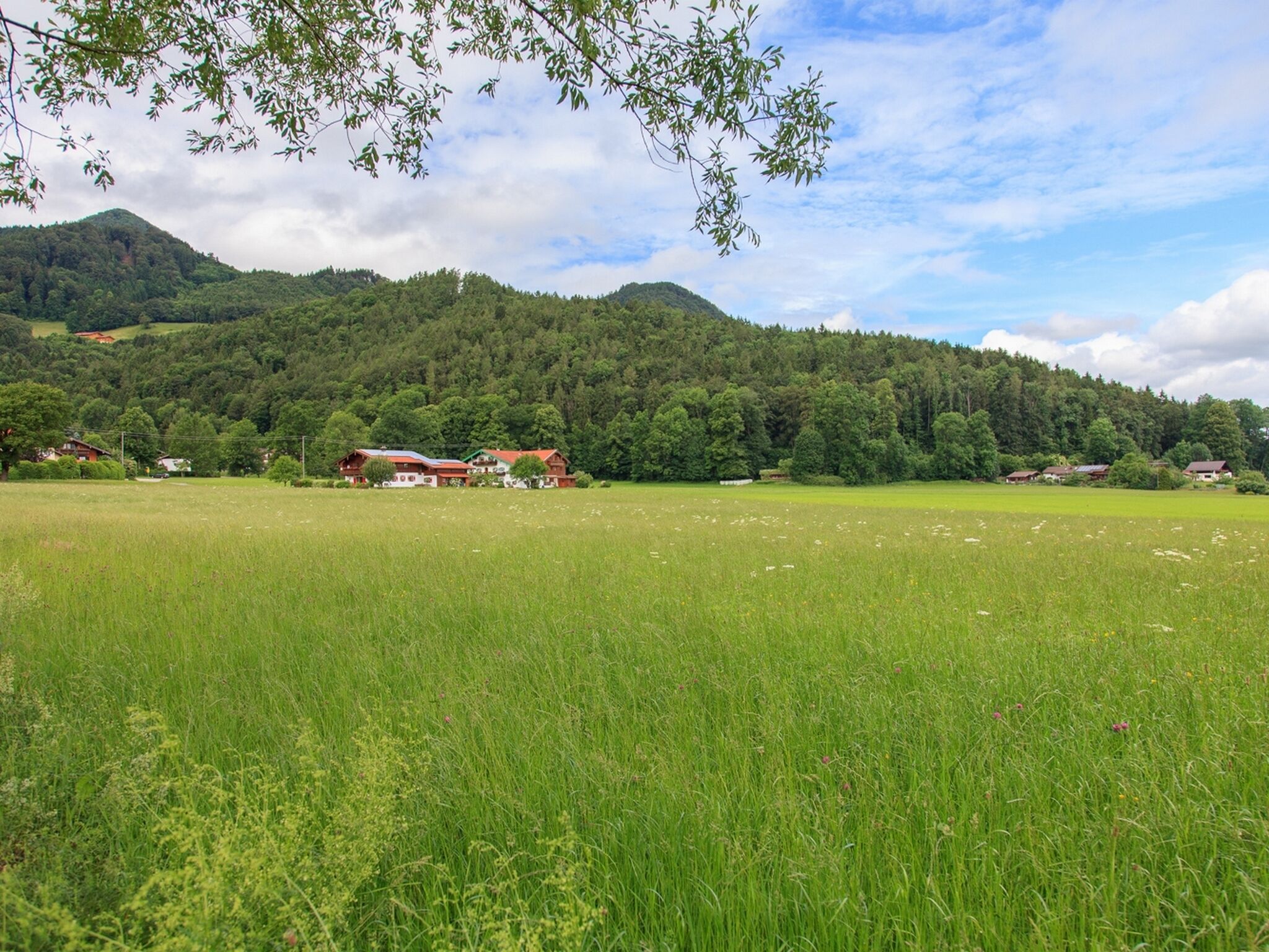A rural landscape with a field, a cluster of houses, and a forested hill in the background.