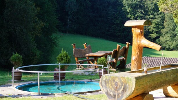 Un banc en tronc d’arbre, une piscine et du mobilier d’extérieur, le tout dans un cadre de jardin.