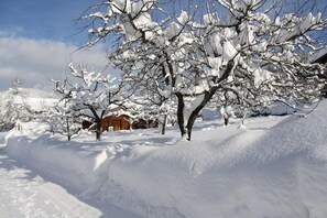 Boendeområde