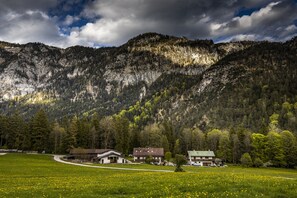A mountain landscape with two houses surrounded by a field of yellow flowers. - Hochkalter, 1-5  Personen, ca. 80 qm, 2 Schlafzimmer, Küche, Balkon (Bischofswiesen)