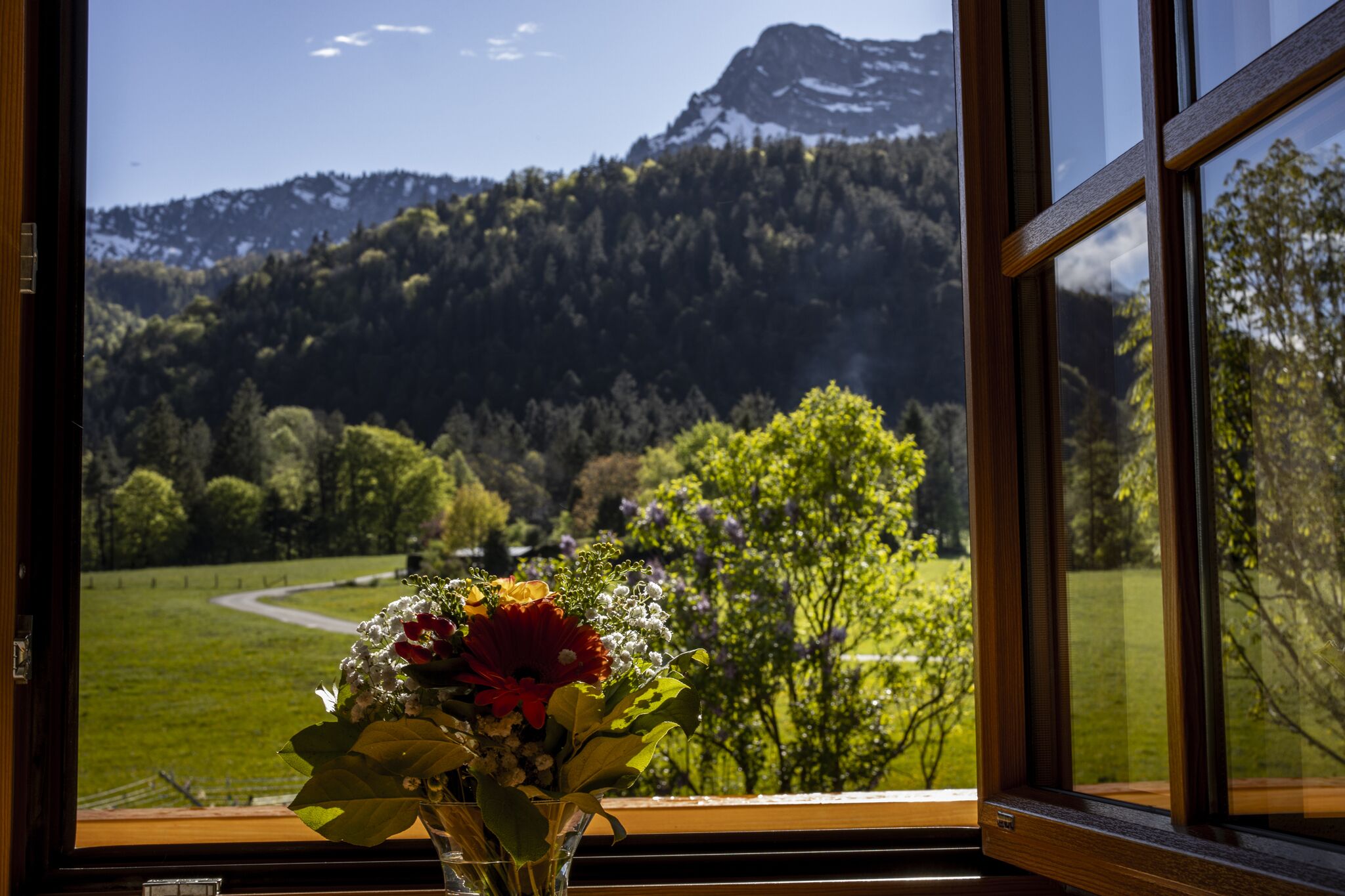 A window with a view of a mountain and a green field.