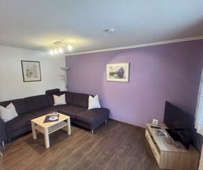 Flachbildfernseher, DVD-Player