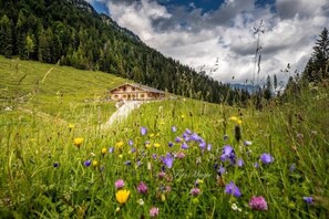 2 Schlafzimmer, Internetzugang, Bettwäsche