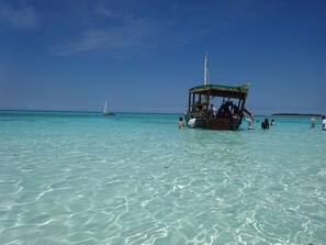 Beach nearby - Homeland Swahili Lodge - Hostel (Nungwi)