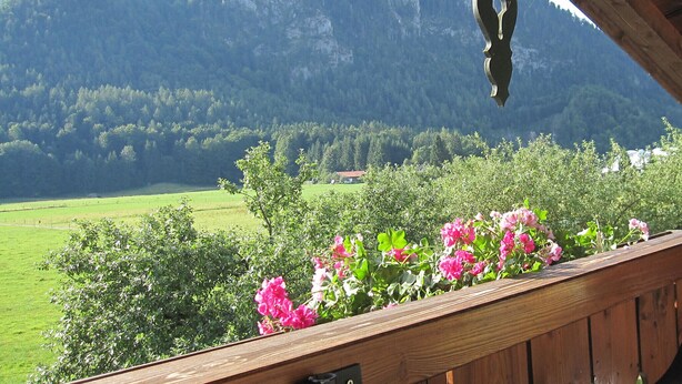 Un balcón con baranda de madera que da a un paisaje montañoso con campos verdes y flores rosadas.