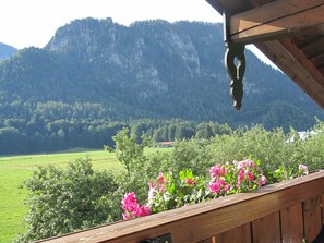 Un balcone con ringhiera in legno che si affaccia su un paesaggio montuoso con prati verdi e fiori rosa.
