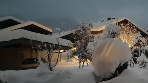 Paesaggio innevato con una casa e alberi.
