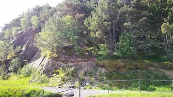 A natural landscape with a rocky cliff, dense forest, and a metal fence.