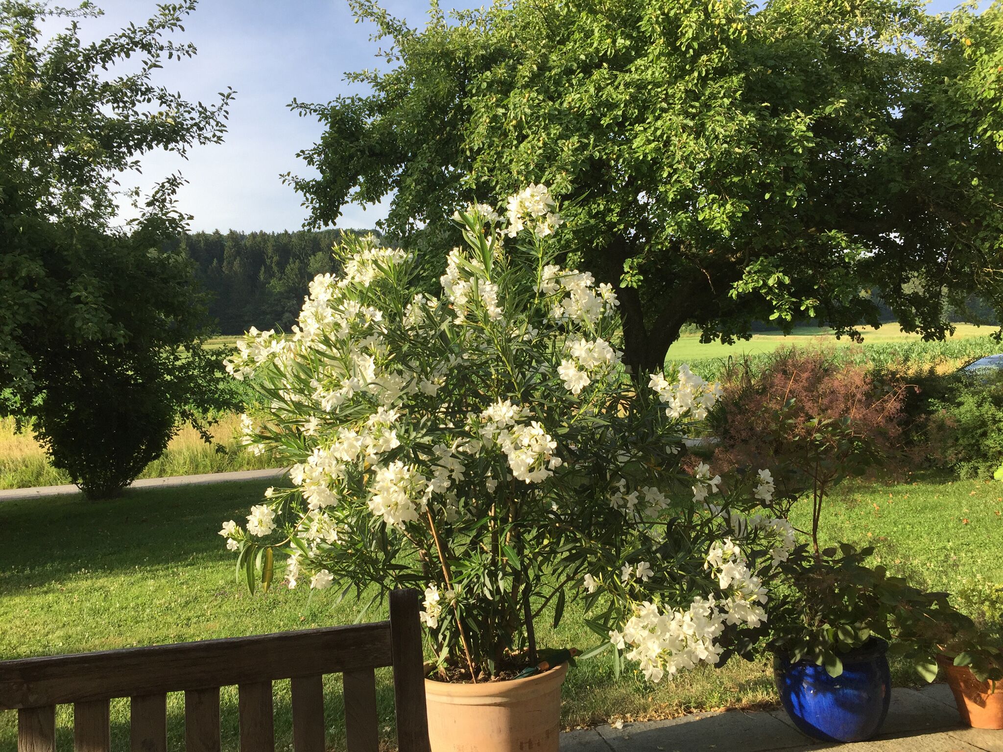 Parco della struttura