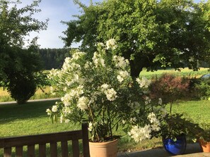 A bench and a potted plant with white flowers in a park. - Ferienwohnung, 48 qm Obergeschoss, 1 separates Schlafzimmer (Bad Endorf)