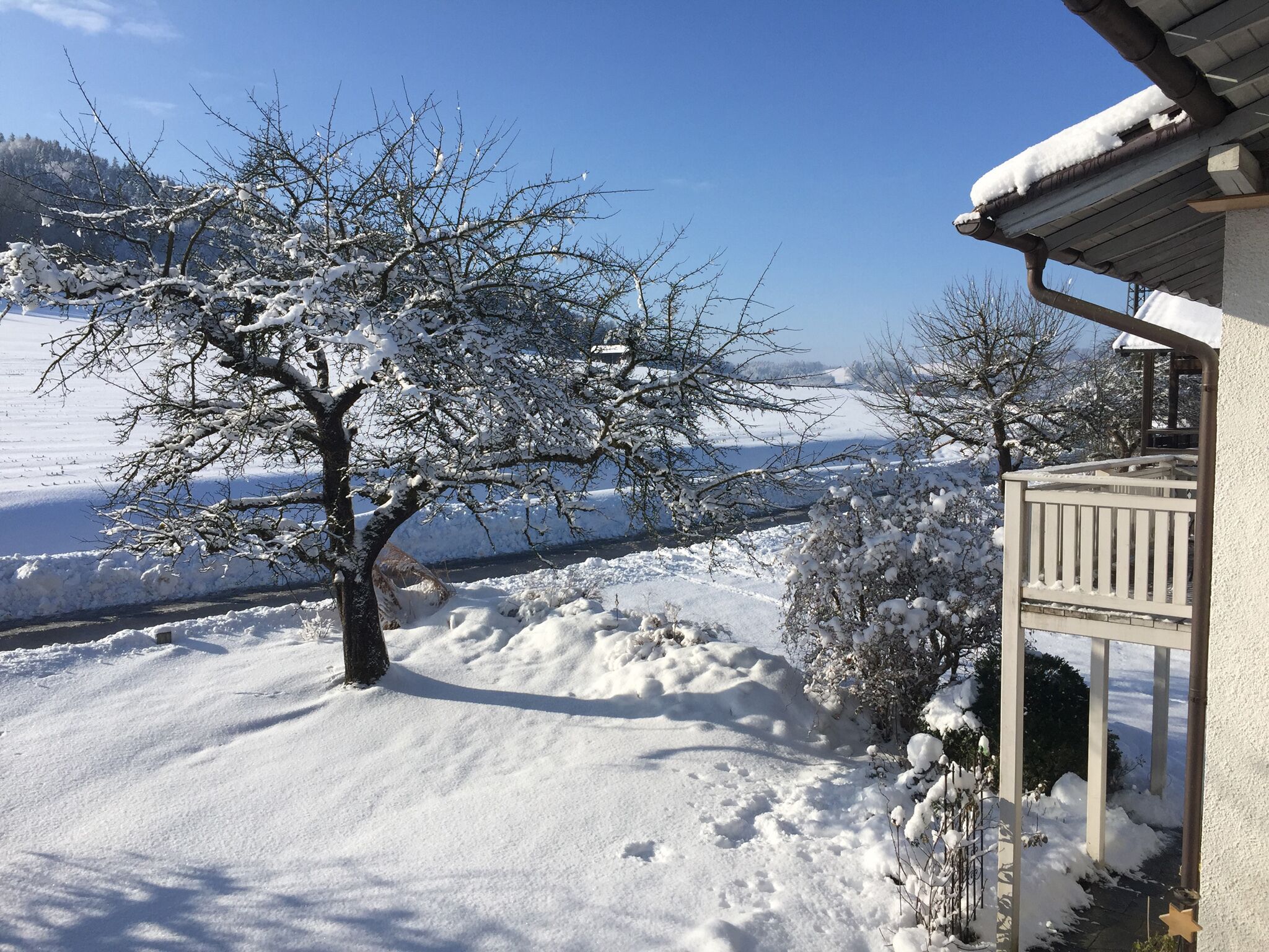 A snow-covered landscape with a house and a tree in the foreground.