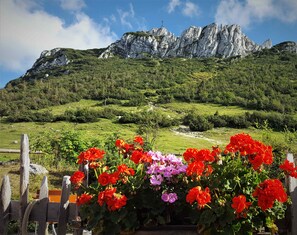 Un paisaje de montaña con una valla de madera y flores vibrantes en primer plano.