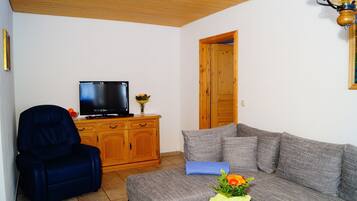 Fernseher, DVD-Player, Tischtennisplatte