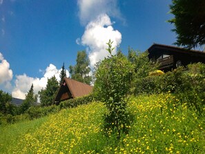 Property grounds - Maisonette-Ferienwohnung "Haus Rittersporn", 78 qm, 2 Schlafzimmer, überdachter Balkon (Siegsdorf)