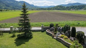 Ländliche Landschaft mit einem großen, offenen Feld, einem kleinen Baum und einer Steinmauer mit Steinen und Büschen.