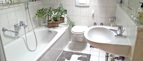 浴缸、吹风机、毛巾