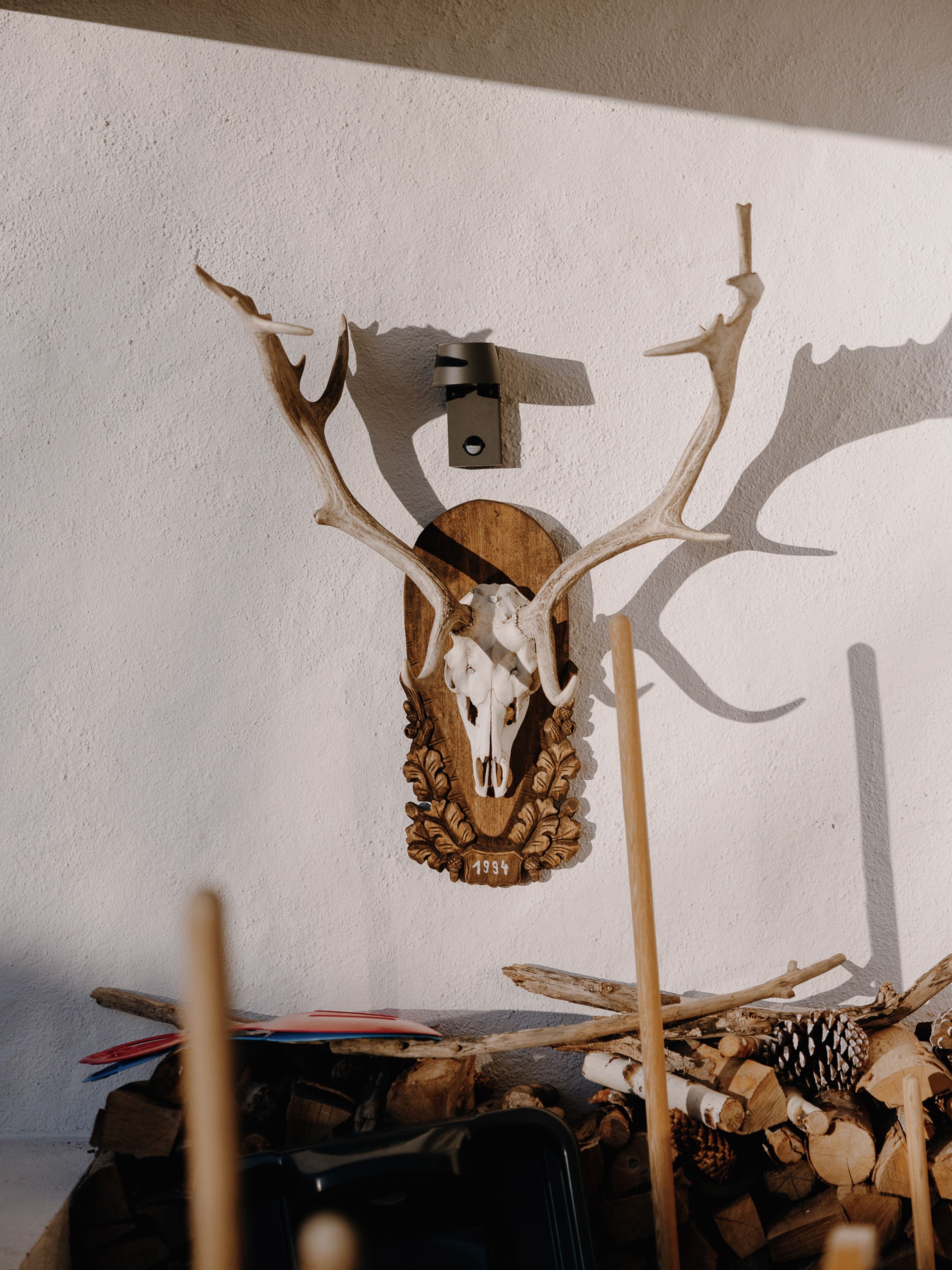 A wall-mounted deer skull with antlers, a wooden plaque with the year '1994', and a pile of firewood in the foreground.