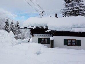 Eksteriør