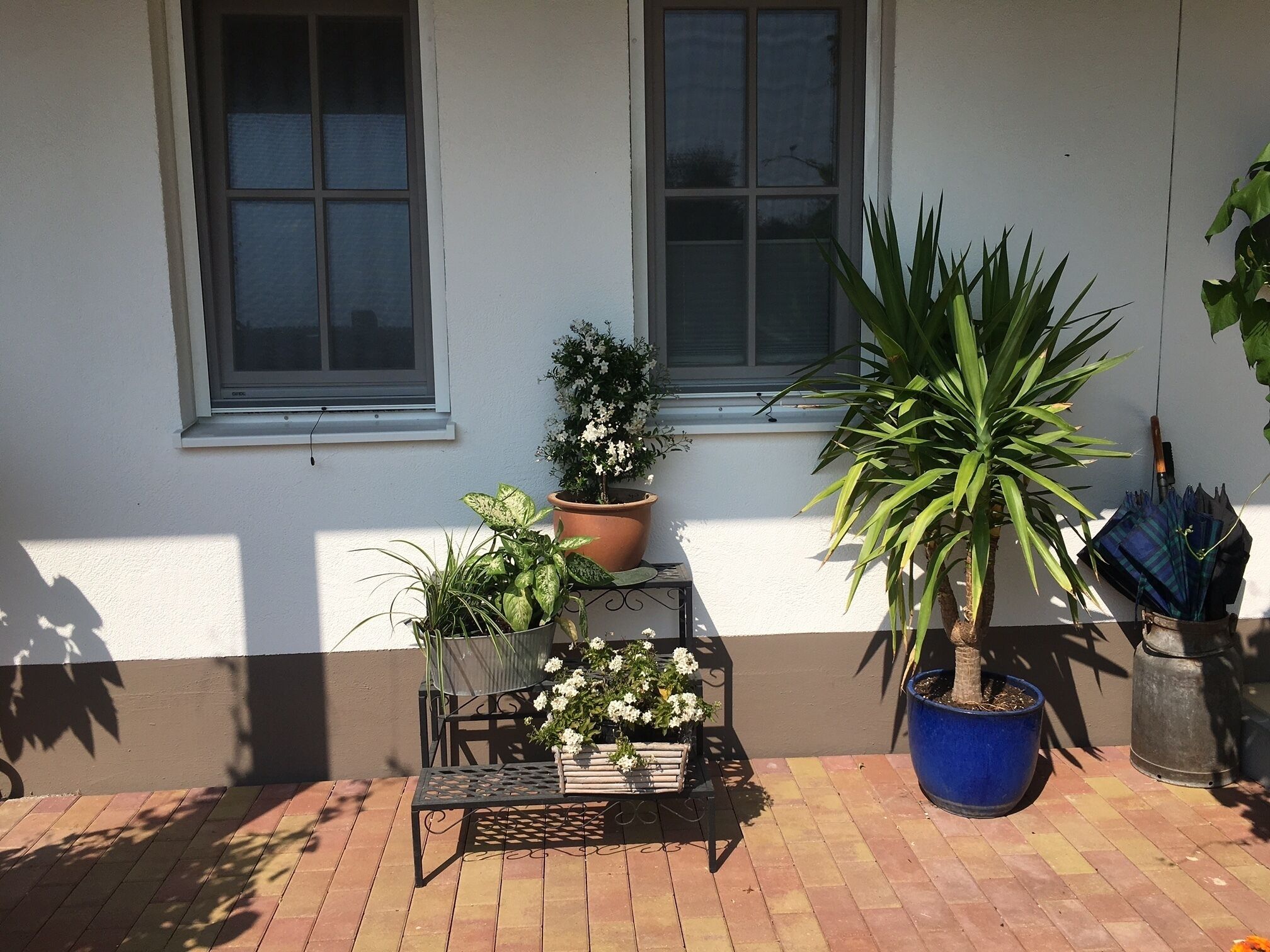 A patio area with potted plants, a metal table, and a window.