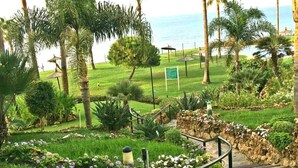 A landscaped garden with palm trees, a pathway, and a view of the sea.