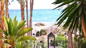 A pathway leading to a beach with palm trees and a gazebo.