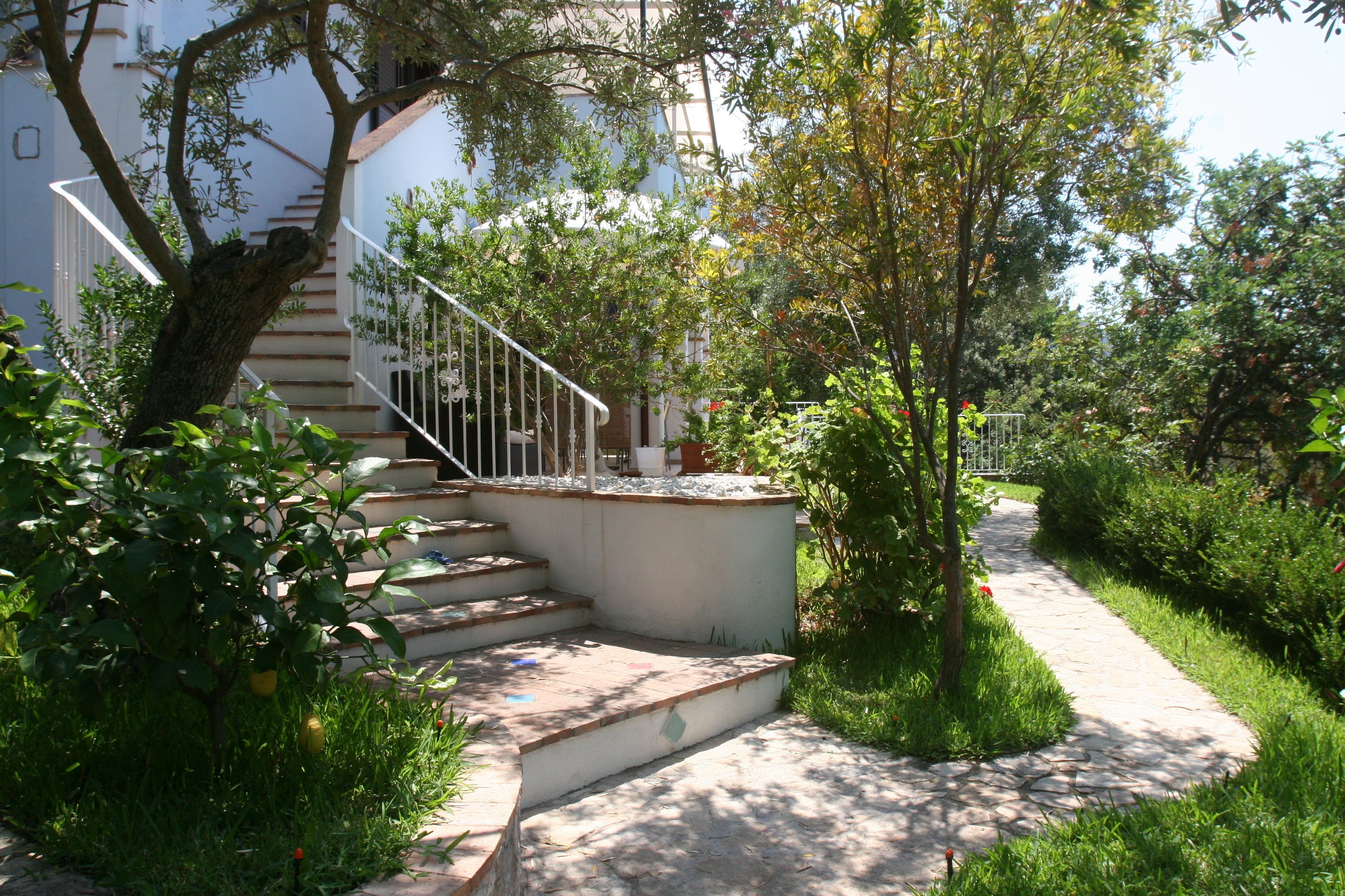 A garden pathway leading to a staircase with a white railing, surrounded by lush greenery and trees.