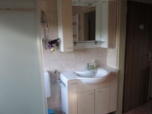 Chuveiro, secador de cabelo, toalhas de banho 