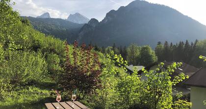 Apartment Studio Haus Irlinger, 28 qm, Wohn-Schlafraum mit Terrasse und Liegewiese