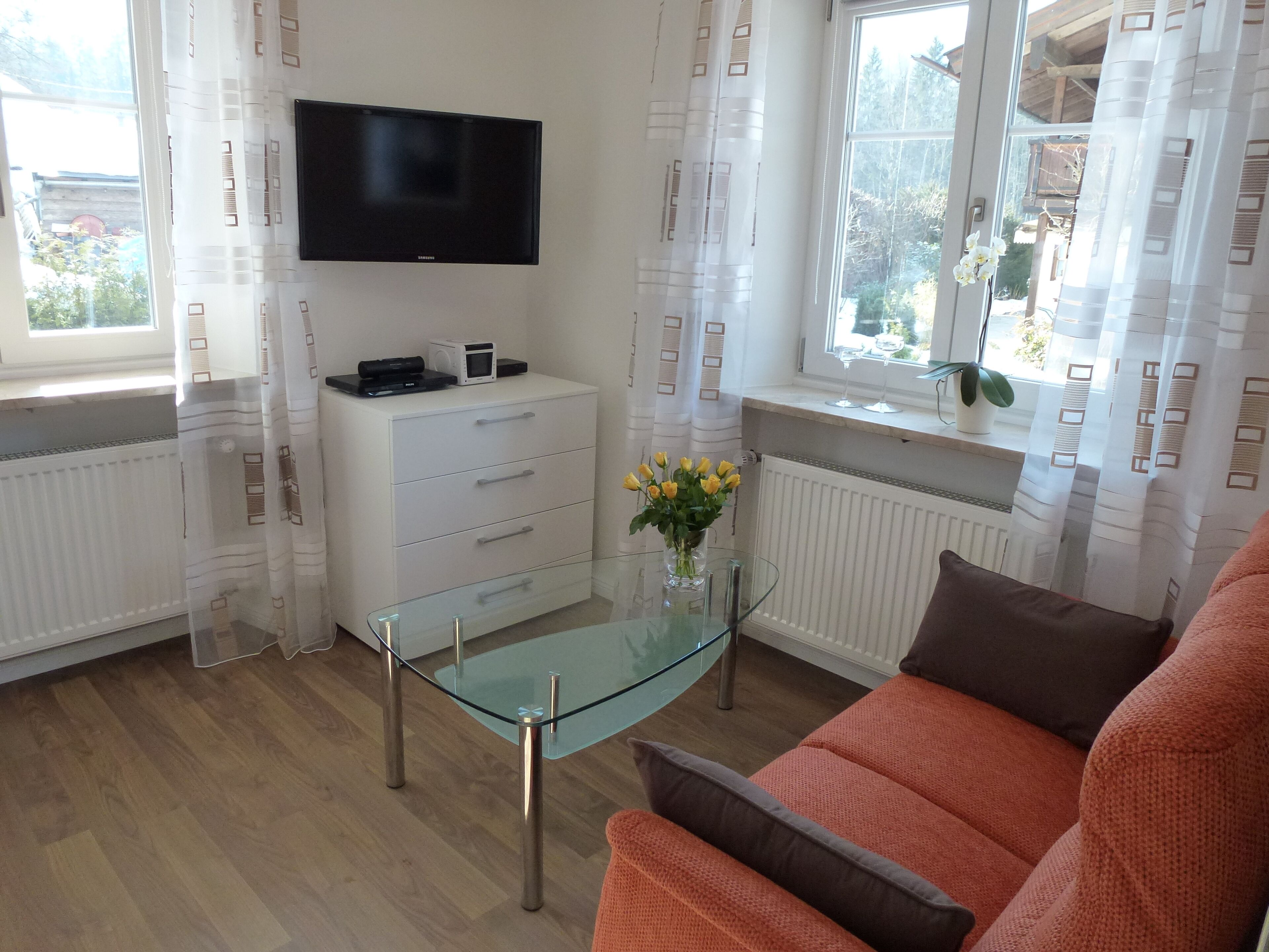 电视、DVD 播放器