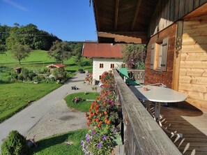 تناول الطعام بالخارج