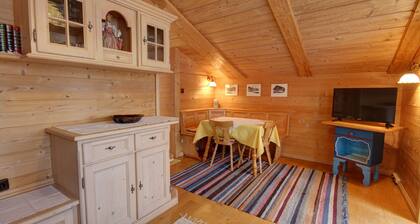 Apartment 47sqm, balcony, kitchenette, 1 bedroom and 1 living-bedroom, WLAN