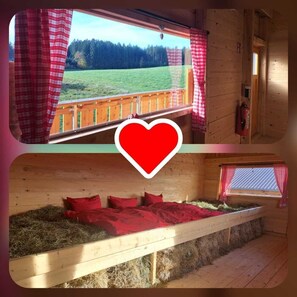 2 多间卧室、上网接入、床单