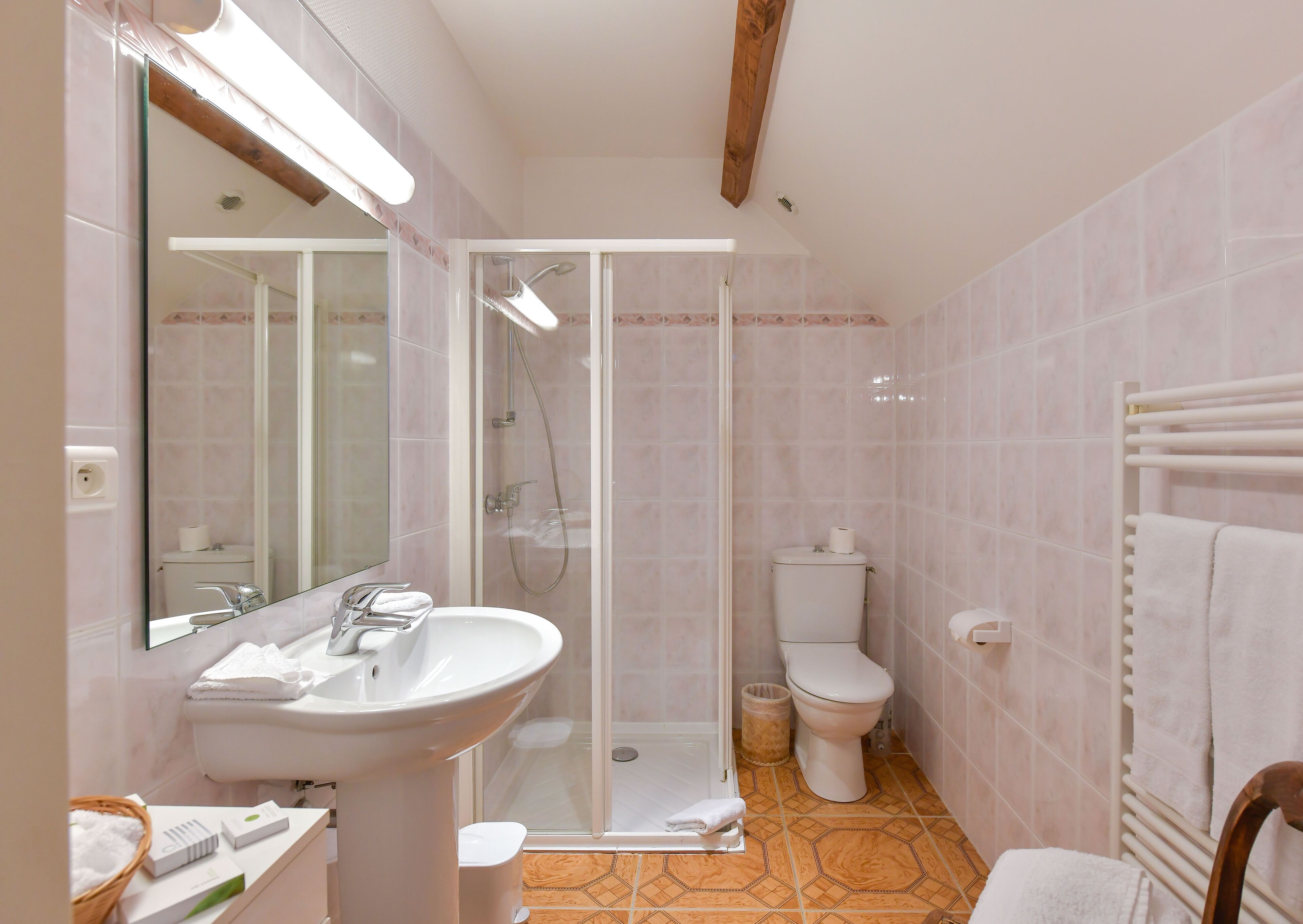 Een badkamer met een douchecabine van glas, een wastafel, een toilet en een handdoekhouder.