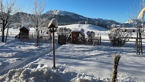 A snow-covered landscape with a wooden cabin, a fenced area, and a mountain in the background. - (3) One-room apartment, approx. 25 m², kitchenette and balcony (Reit im Winkl)