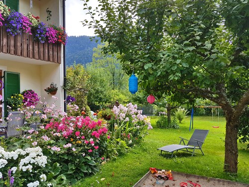 Hacherer Peter - - 38053
