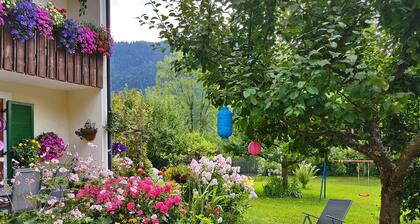 Hacherer Peter - - 38053