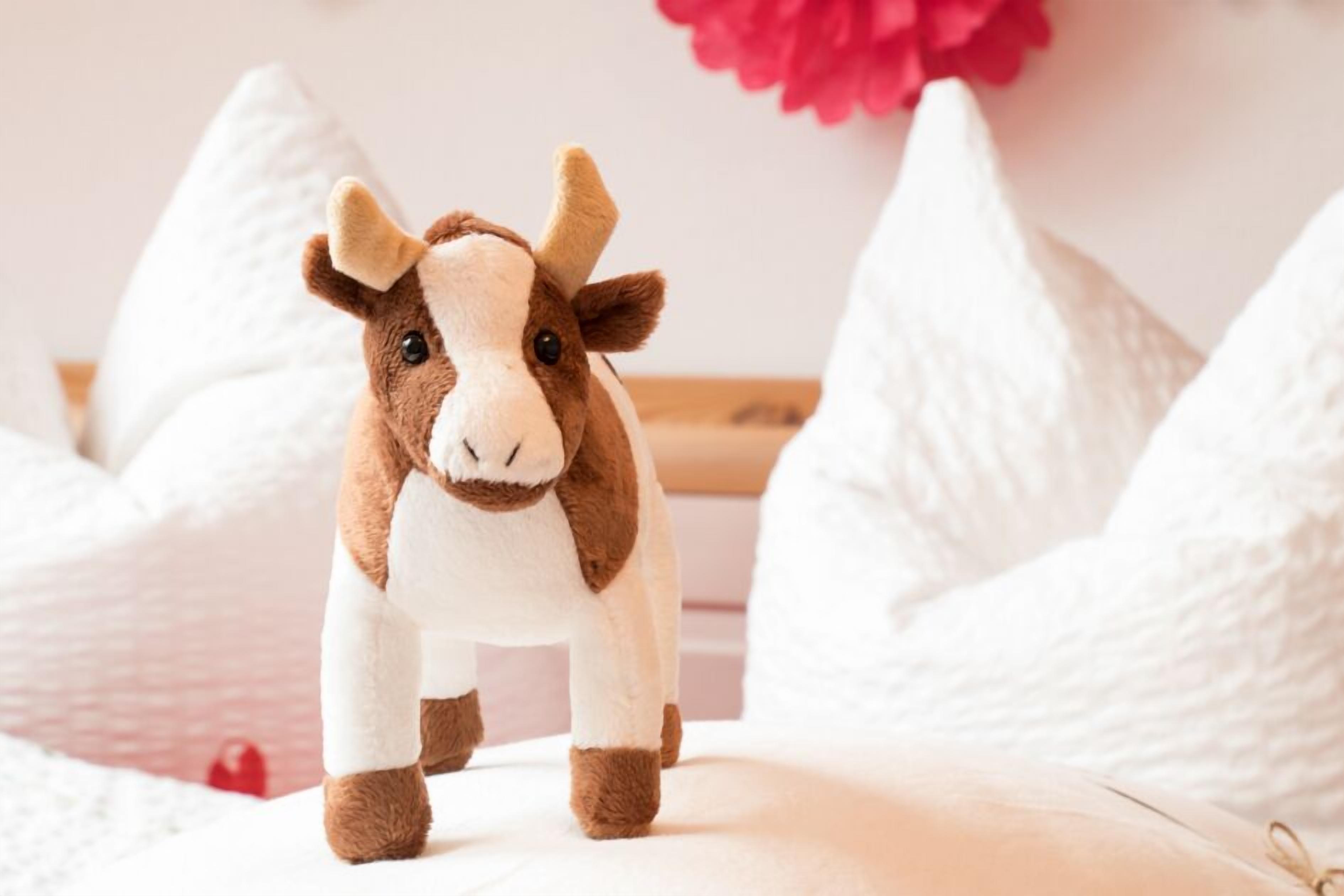 Détail de l’intérieur