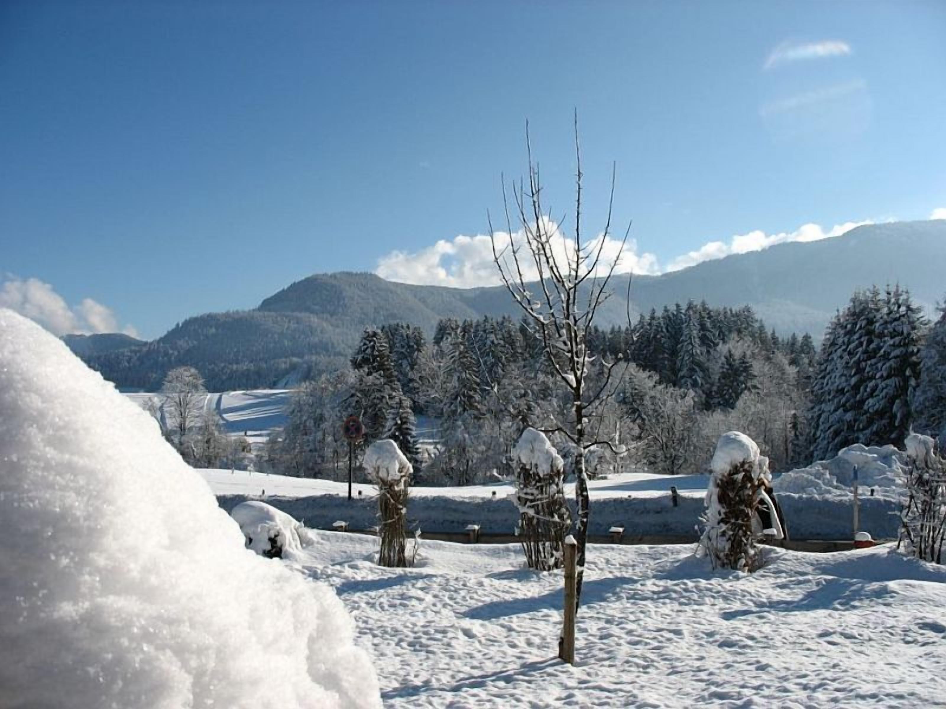 Un paysage enneigé, avec un ciel dégagé, une chaîne de montagnes en arrière-plan et quelques arbres recouverts de neige.
