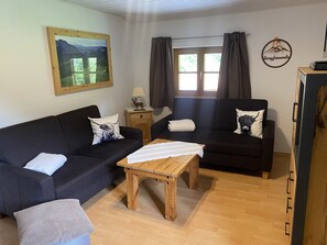 تلفزيون، مشغل دي في دي