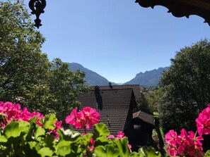 Apartment (Alpenpanorama) | Balcony view