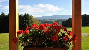 Une pergola en bois, agrémentée d’une jardinière remplie de fleurs rouges, qui offre une vue sur un paysage montagneux.