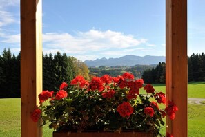 Property grounds - Holzblockhaus Kampenwand ***** (Rimsting)