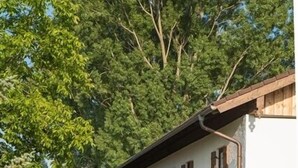 A two-story house with a covered porch, surrounded by lush greenery and a paved driveway. - Vacation apartment no. 2, 30 sqm, 1 bedroom, terrace, 4 stars, 3 pers. (Anger)