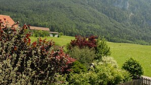 A mountain landscape with a house and a fenced field.