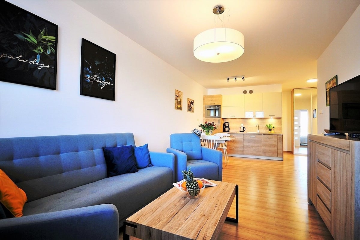 Classic Apartment, 1 Bedroom (D308) | Living area | 42-inch flat-screen TV with cable channels, TV